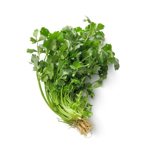 Coriander Leaves - Organically Grown