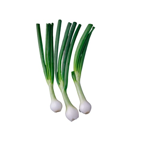 Spring Onion