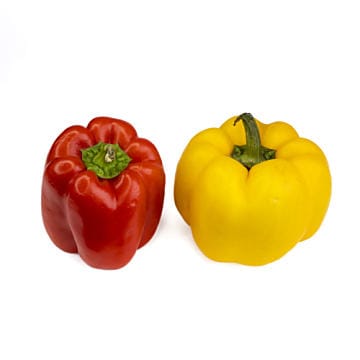 Capsicum Bell Pepper (Red / Yellow)